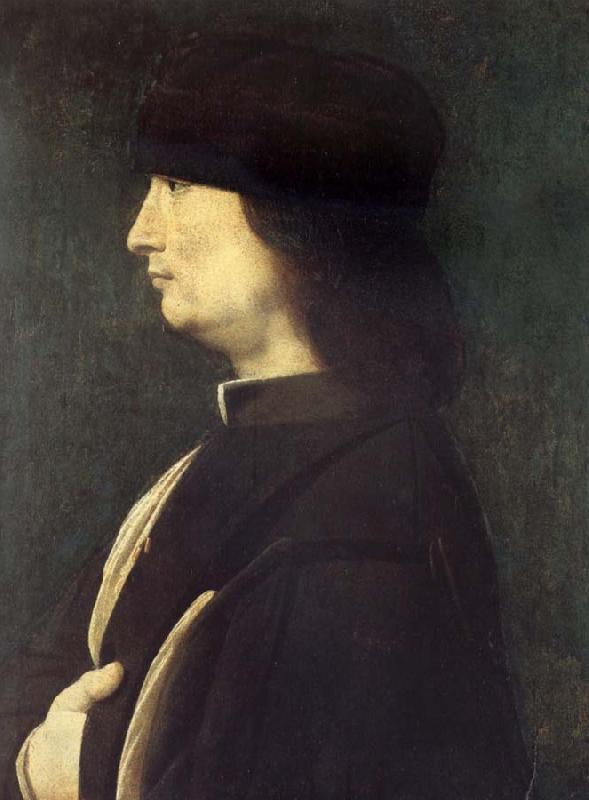 BOLTRAFFIO, Giovanni Antonio Portrait of a Gentleman
